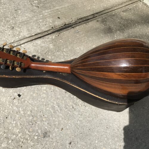 Early 1900 American Conservator Bowl back mandolin with leather case
