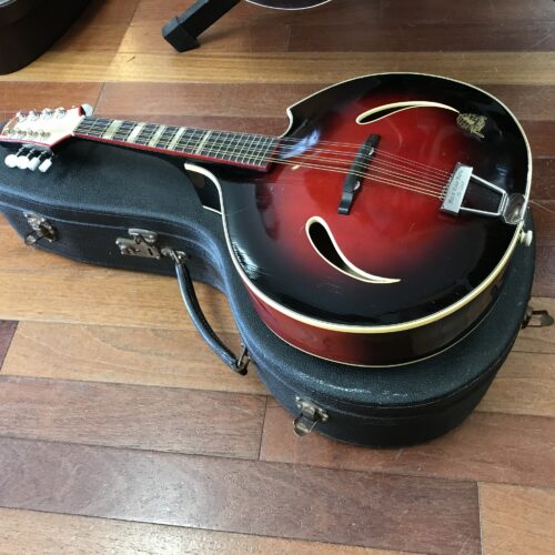 50s Framus Black Rose Baby Deluxe mandolin