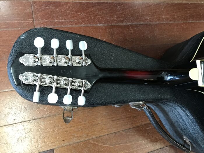 50s Framus Black Rose Baby Deluxe mandolin
