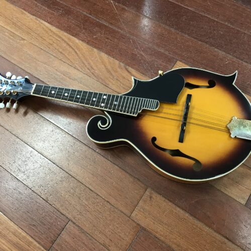 Kentucky KM 620 mandolin