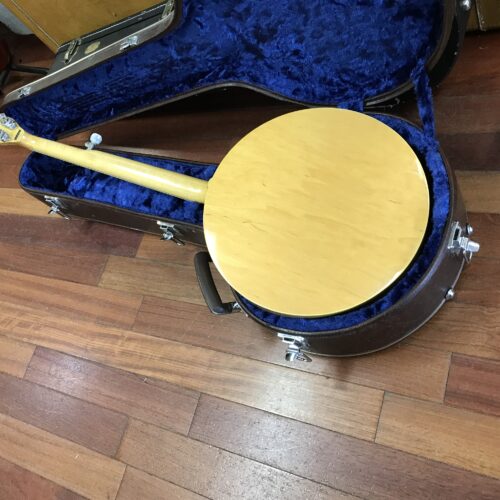 Ibanez Artist 5 string banjo