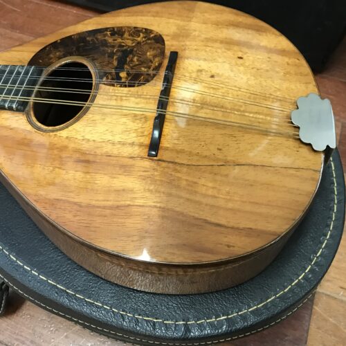 1921 Martin AK KOA mandolin